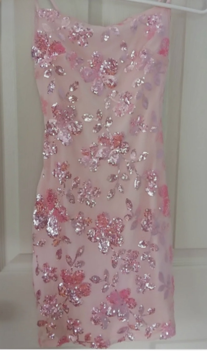 Windsor Pink Sequin Slip Dress